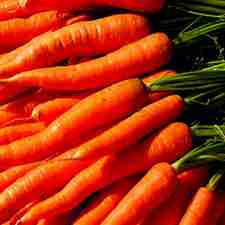 Carrots - Nantes